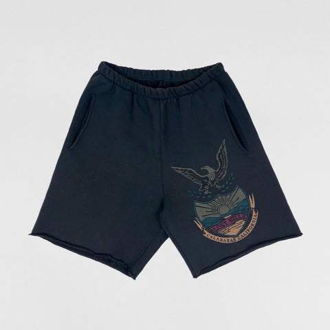 YZY Capsule 2017 Calabasas Eagle Shorts